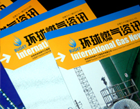 ������ȼ��